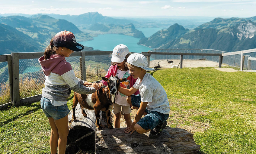 Ein Wochenende in Stoos Streichelzoo Spielplatz