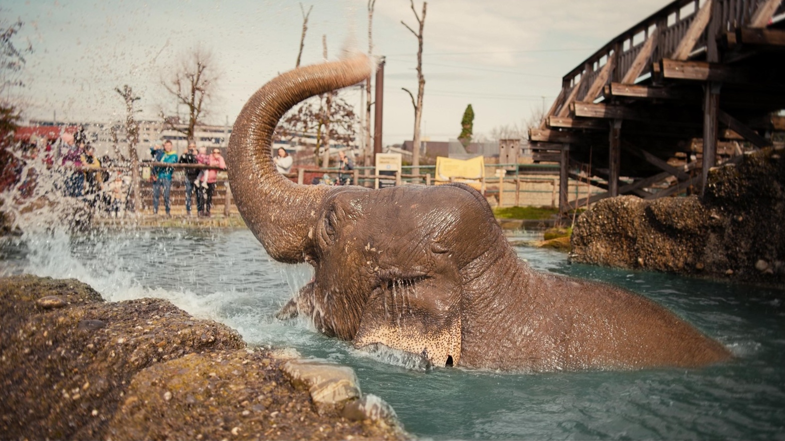Elefant Sabu baden Knies Kinderzoo Verlosung