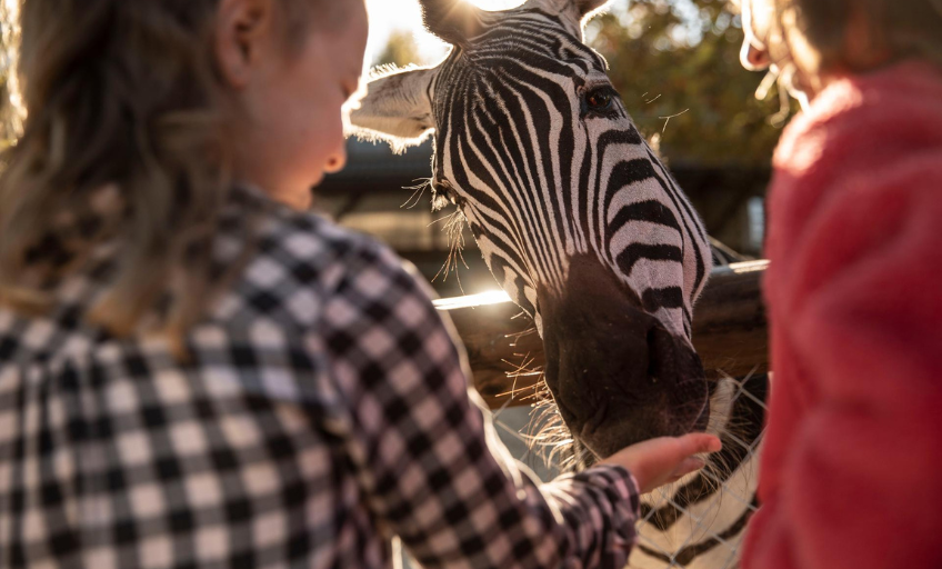 25-06-walter-zoo-verlosung-familienticket-schweizer-elternmagazin-fritz-und-fraenzi-ab1