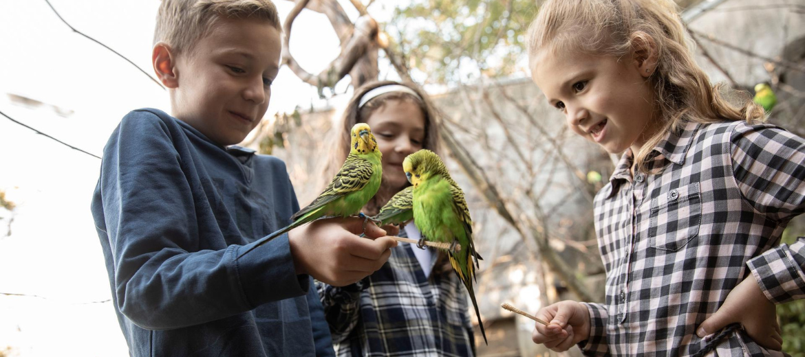 25-06-walter-zoo-verlosung-familienticket-schweizer-elternmagazin-fritz-und-fraenzi-hg Walter Zoo